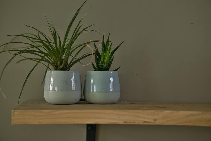 Wellness Environment