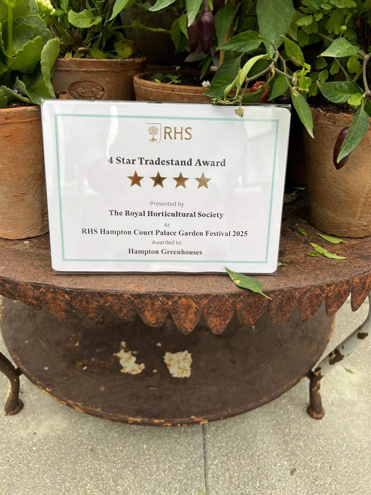 A 4-star award plaque displayed in front of flower pots.