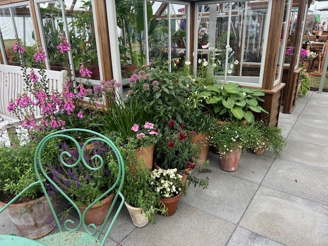 Various plants and flowers in pots, decorating the perimeter of the Hampton greenhouse display models.