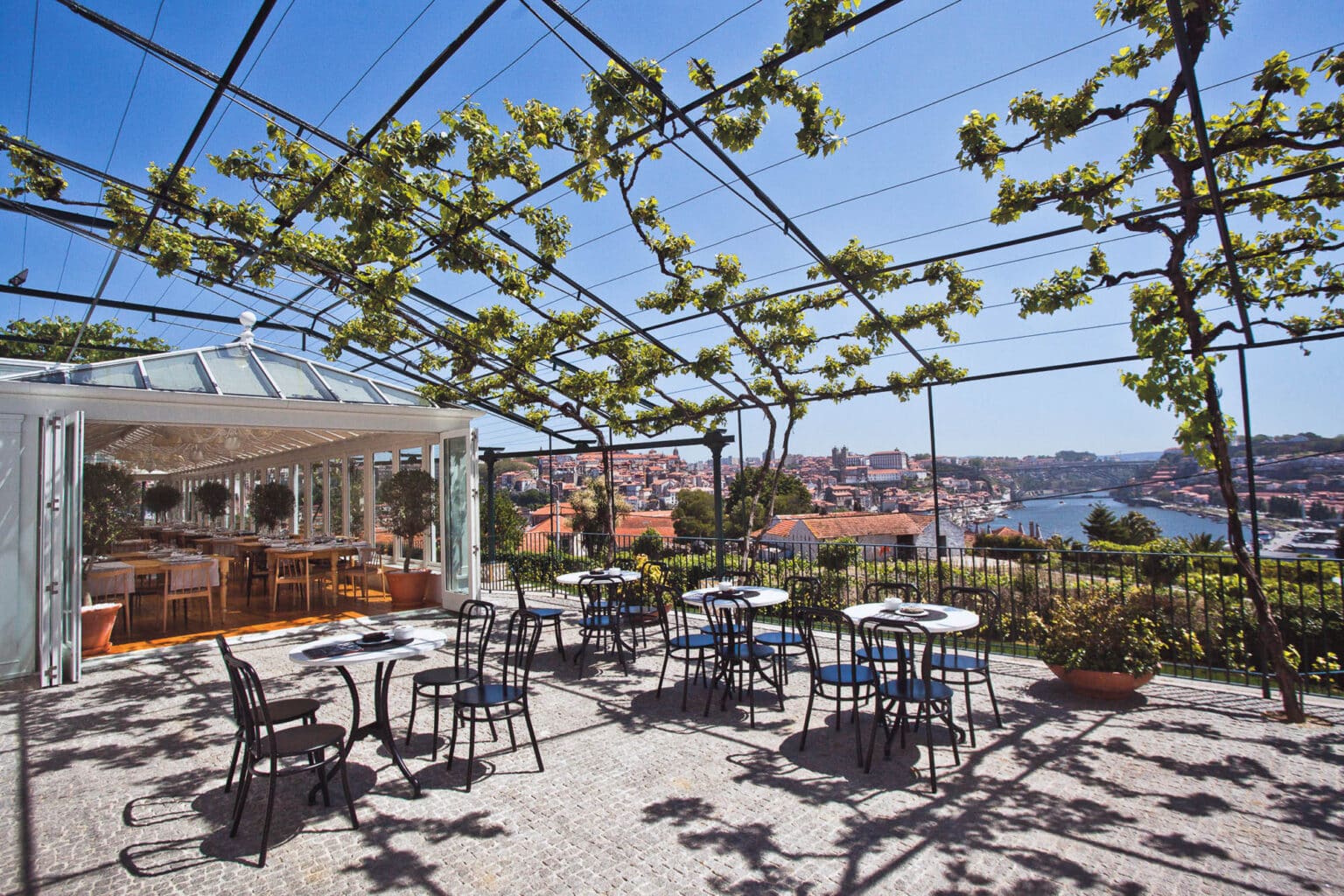 Bespoke commercial structure for a restaurant, with a natural vine canopy.
